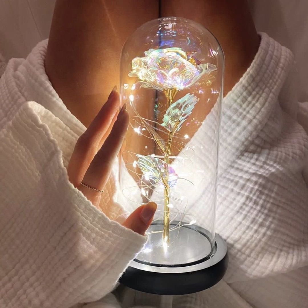 Sonsuzluk Gülü Led Işıklı Fanus (Sonsuza Dek)